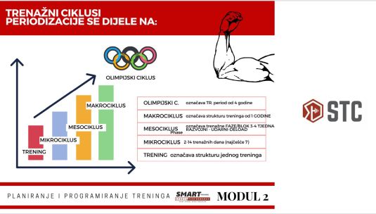 modul 2 (31)